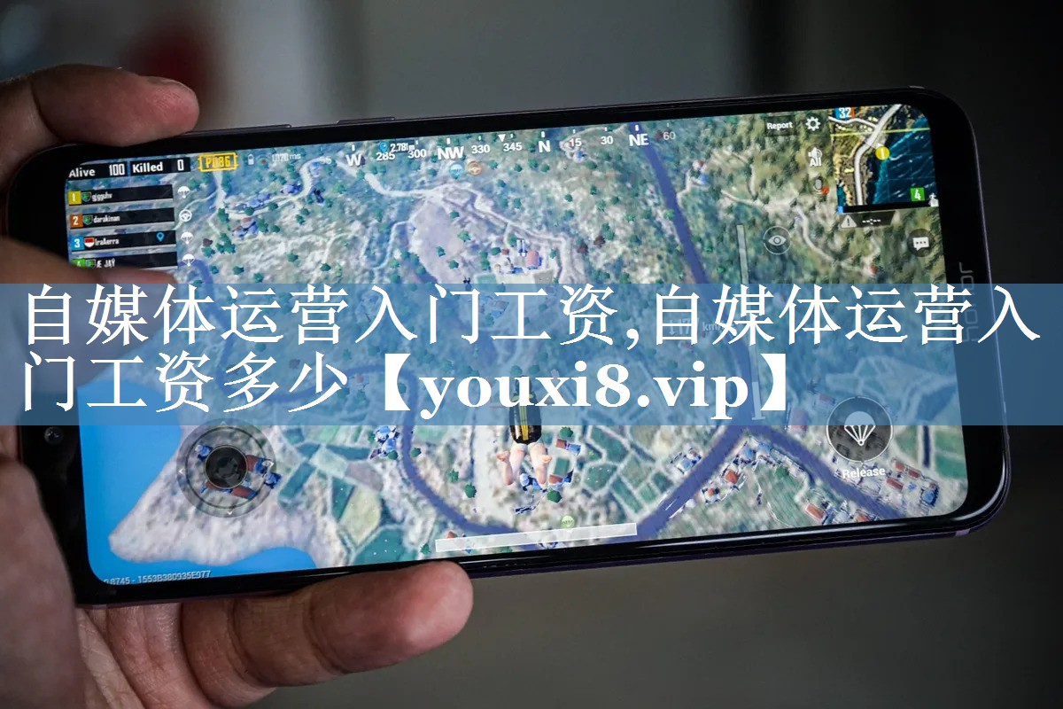 自媒體運營入門工資,自媒體運營入門工資多少
