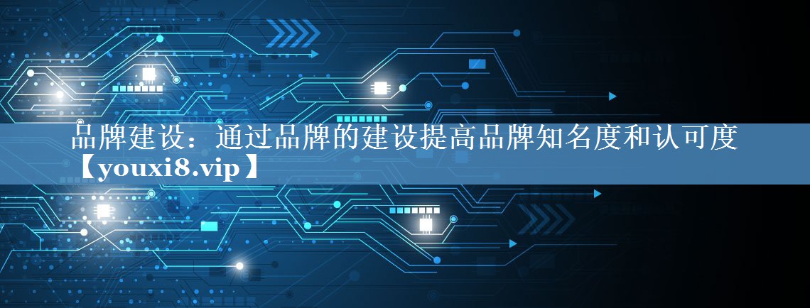 品牌建設：通過品牌的建設提高品牌知名度和認可度