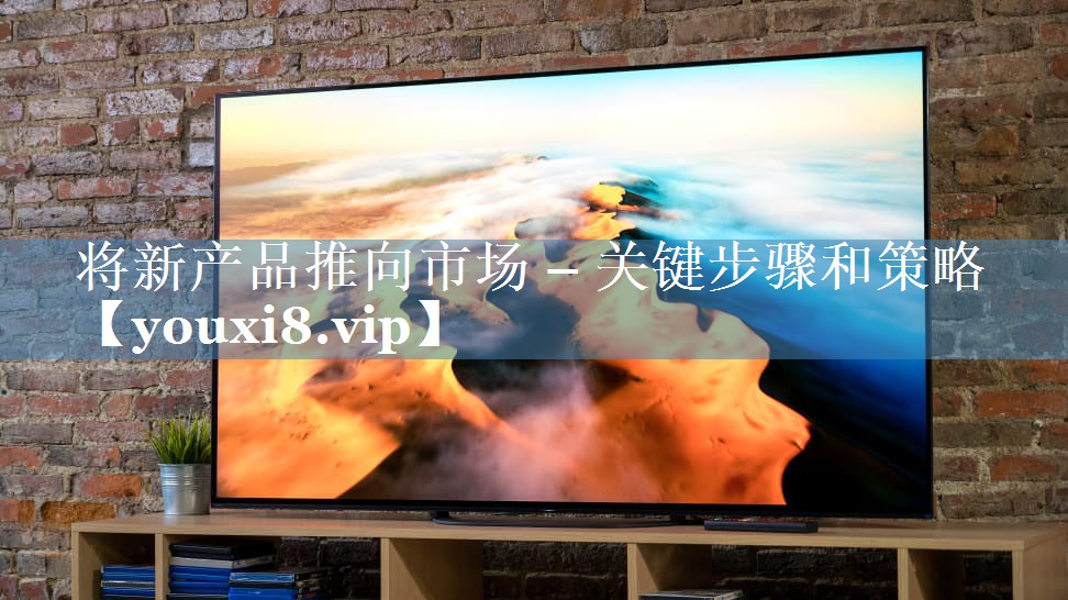 將新產(chǎn)品推向市場 – 關(guān)鍵步驟和策略